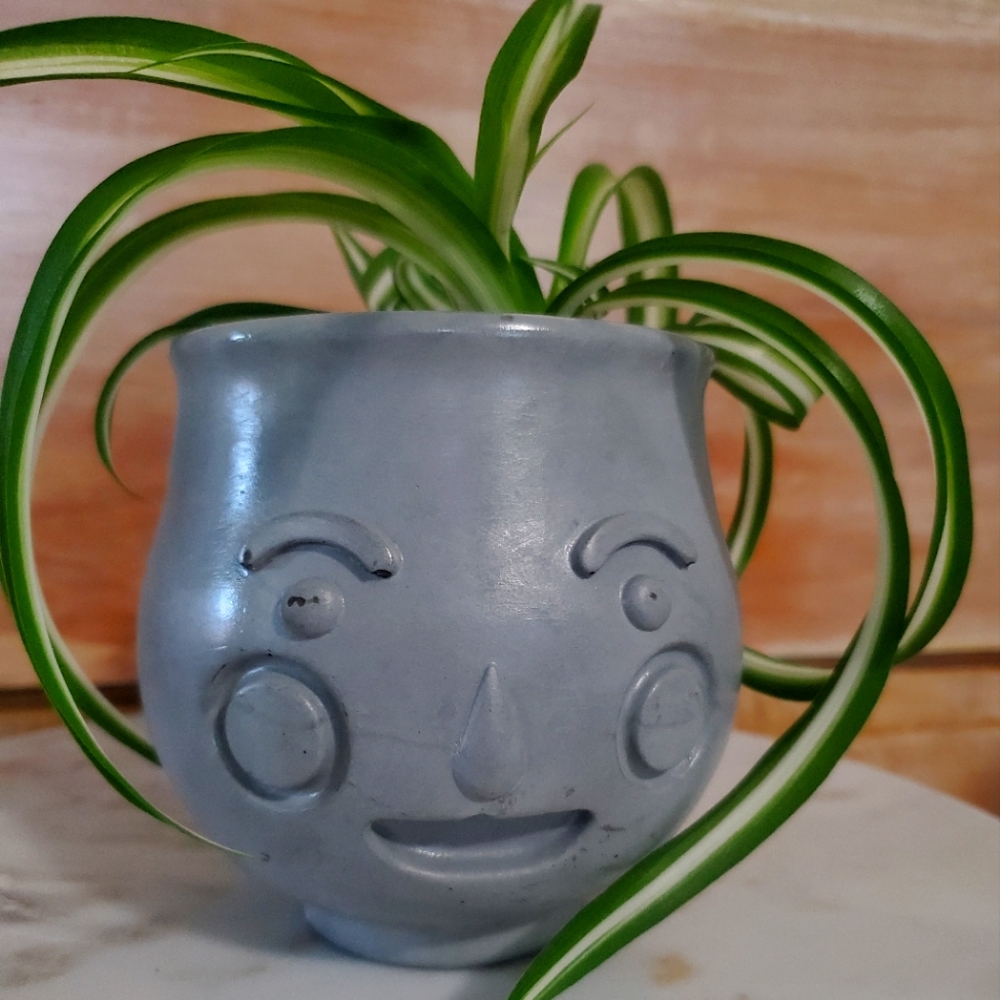 Concrete face planter